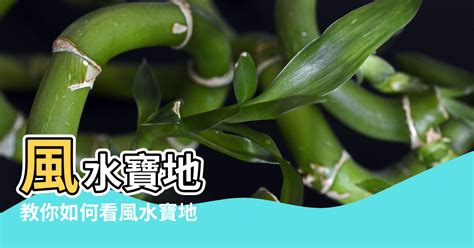 台中風水寶地|風水寶地揭密！八卦山脈絕佳龍穴 庇蔭後代塔位搶翻